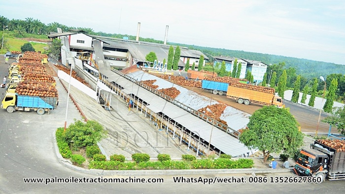 Palm oil processing plant.jpg