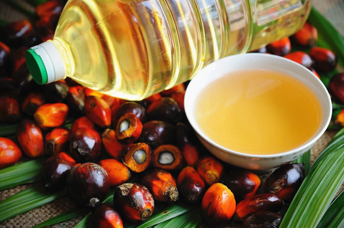The photo of high quality palm fruit oil.jpg