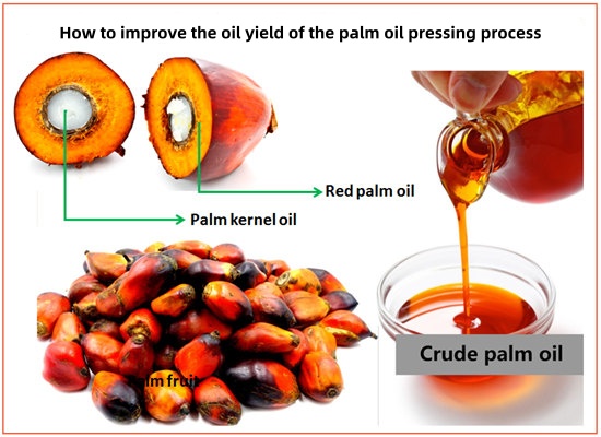 How to improve the oil yield of the palm oil pressing process