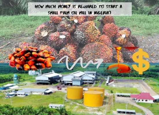 What are the costs involved in setting up a palm oil mill?