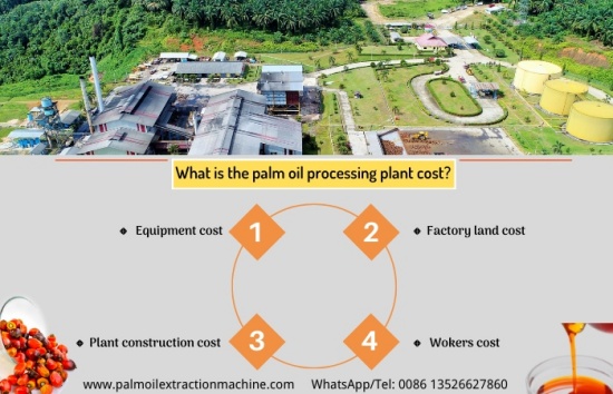 How much does it cost to set up a small scale palm oil processing plant for beginners?