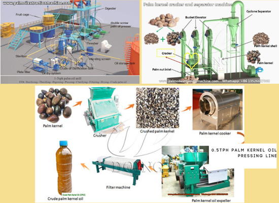 A Ugandan client successfully ordered 3TPH palm oil production line, 2TPH palm kernel cracking and separating machine and 0.5TPH palm kernel oil production line from Henan Glory Company