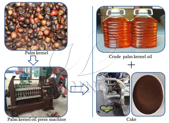 Complete list of palm kernel oil production units