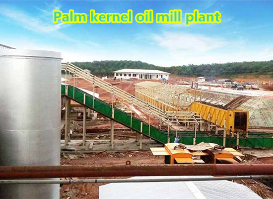 How to invest in setting up a palm kernel oil processing plant？