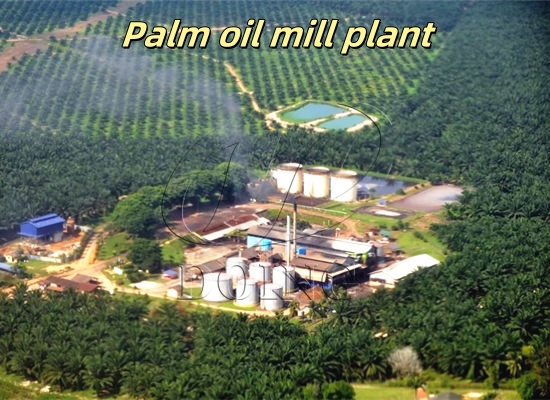 What it’ll cost to set up a medium palm oil processing plant?