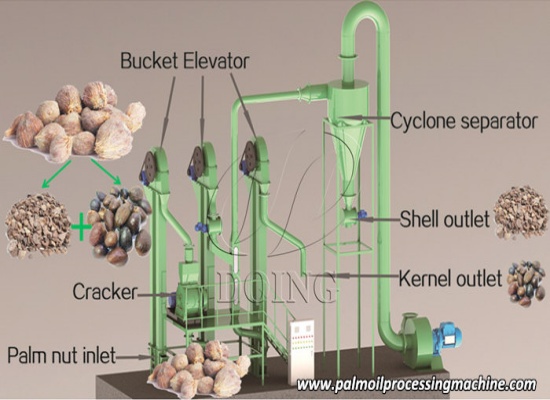 Design and construction of a palm kernel cracker and shell separator