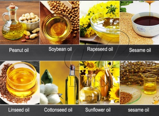 How to choose edible oil processing method?