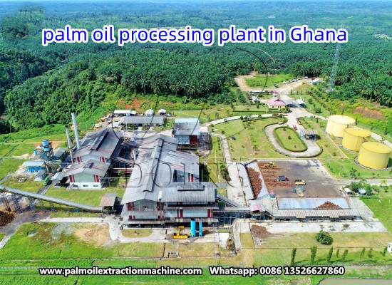 Is it worth investing in a palm oil processing plant?