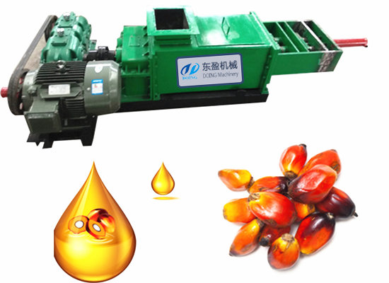 Successful order for 1tph palm oil processing equipment from a customer in Nigeria