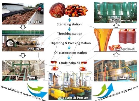 Crude palm oil production process