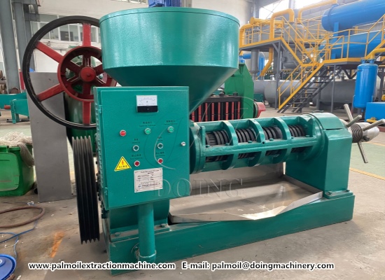 Why do so many people choose to buy palm kernel oil expeller machine from Henan Glory Company?