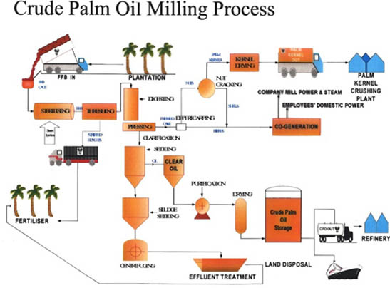 A brief introduction of palm oil production line