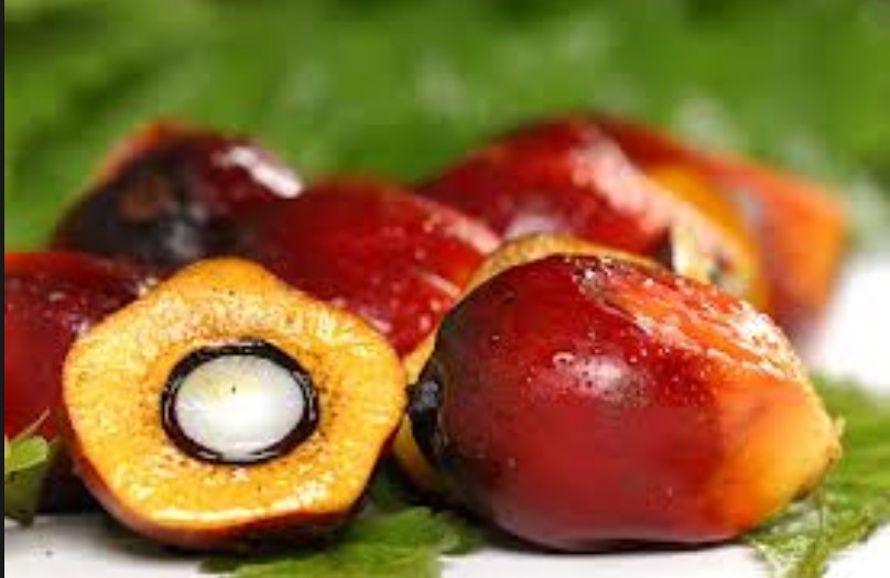 Where Does The Palm Oil Come From Palm Oil Extraction FAQ