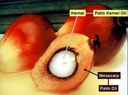 Palm Kernel Expeller (PKE)