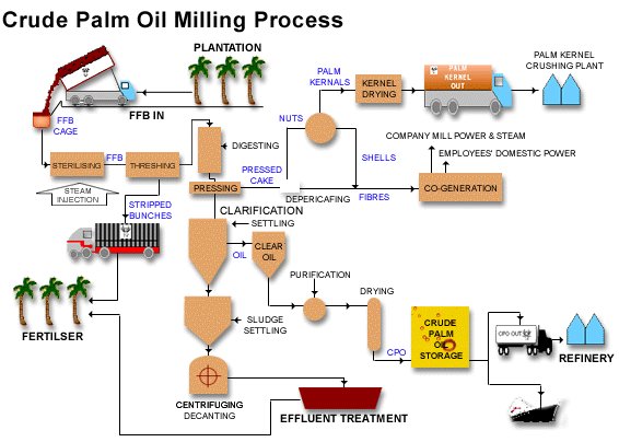 Palm oil mill plant process？