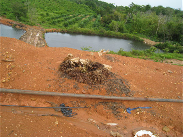 Palm oil mill effluent in Malaysia and Indonisia