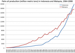 How is palm oil produced? palm oil production process