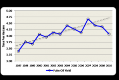 Malaysia palm oil futures