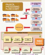 Modern palm oil processing method