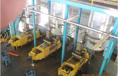 palm fruit hydraulic oil press