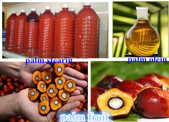 palm olein and palm stearin