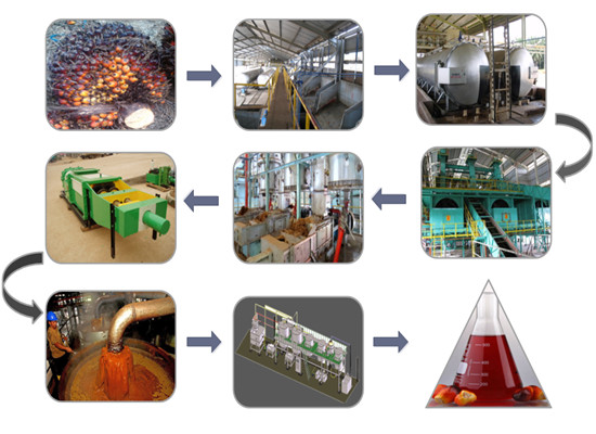 palm oil processing machine 