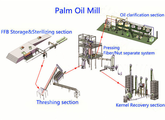 palm oil mill  process