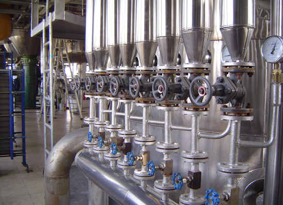 edible palm oil refining machine