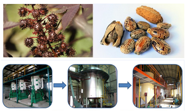 castor oil production process machinery