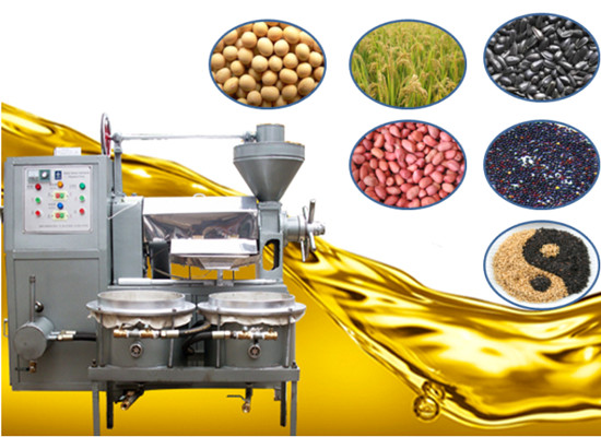 sunflower oil presser machine 
