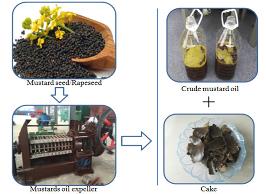 mustard oil extraction machine