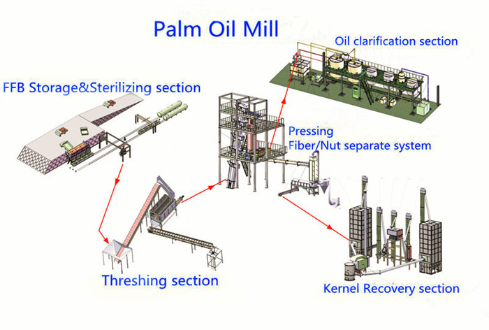 palm oil pressing production process