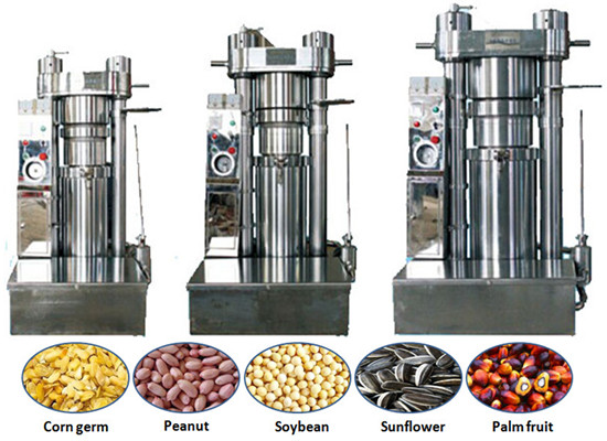 hydraulic sesame oil press machine 