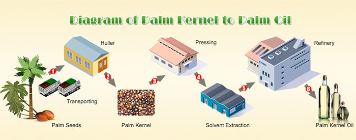 palm oil extraction line 