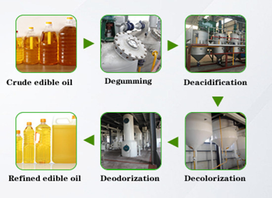 palm oil processing line