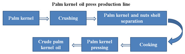palm kernel oil expeller line