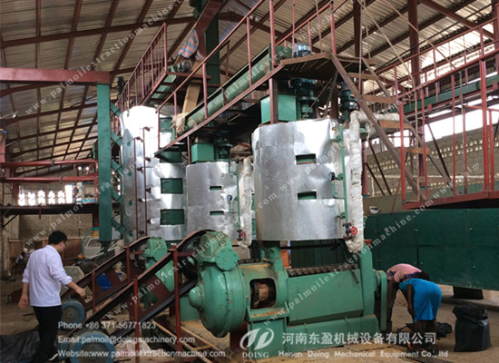 palm kernel oil expeller line