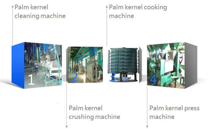 palm kernel oil expeller machine