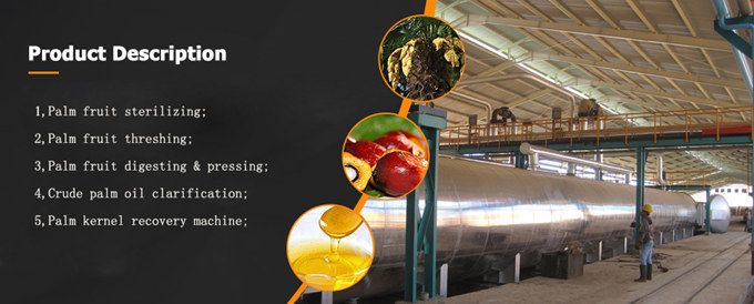 palm oil processing machinery
