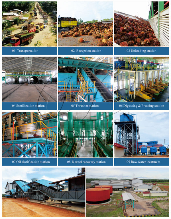 palm oil production process machinery 