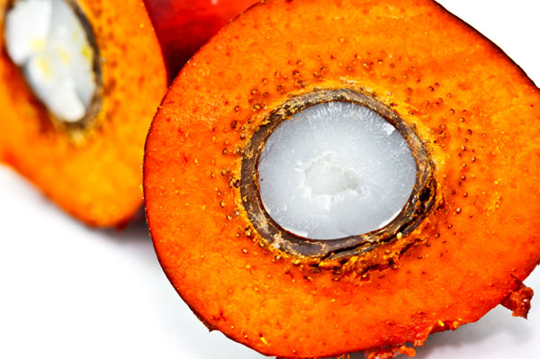 palm fruit