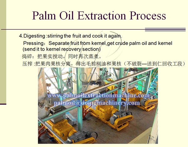 palm fruit pressing machine 