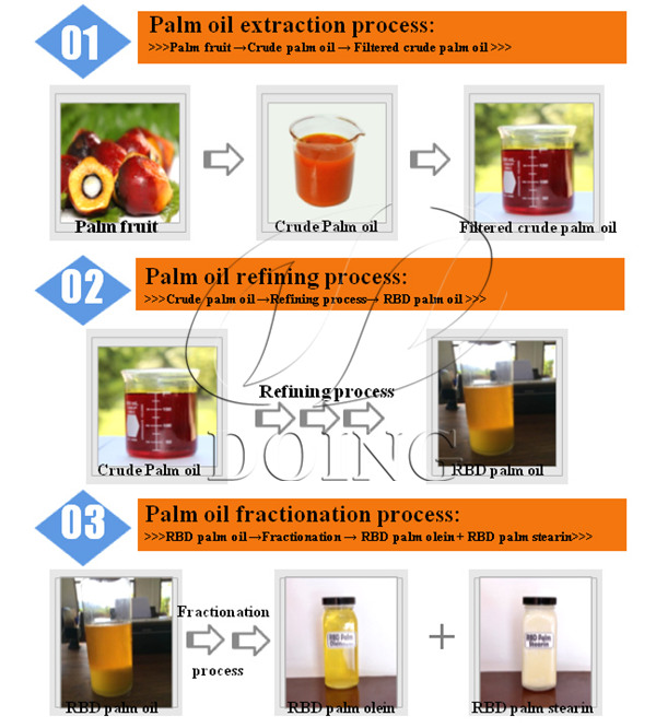 palm oil extarction process