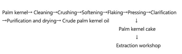 palm kernel oil extraction process