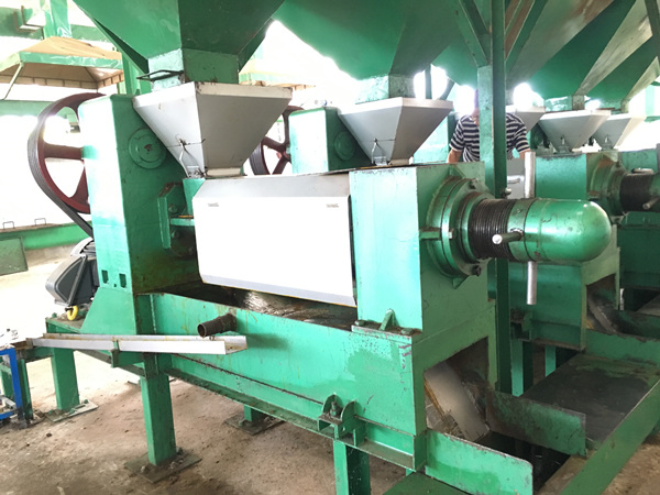 palm kernel oil extarction machine