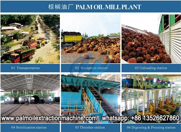 palm oil milling machine 