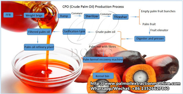 palm oil processing process flowchart