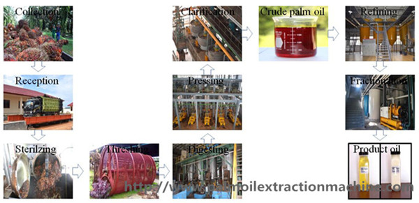 palm oil extarction machine 