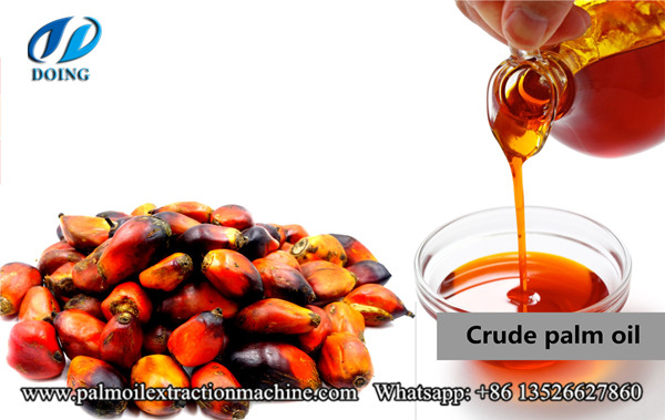 crude palm oil 
