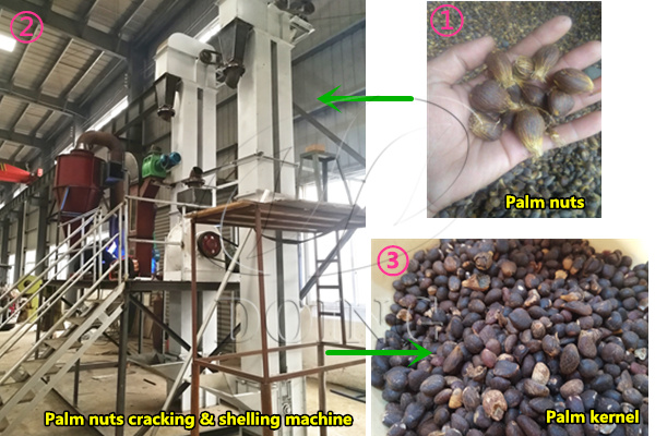 palm nuts cracaking and shelling machine